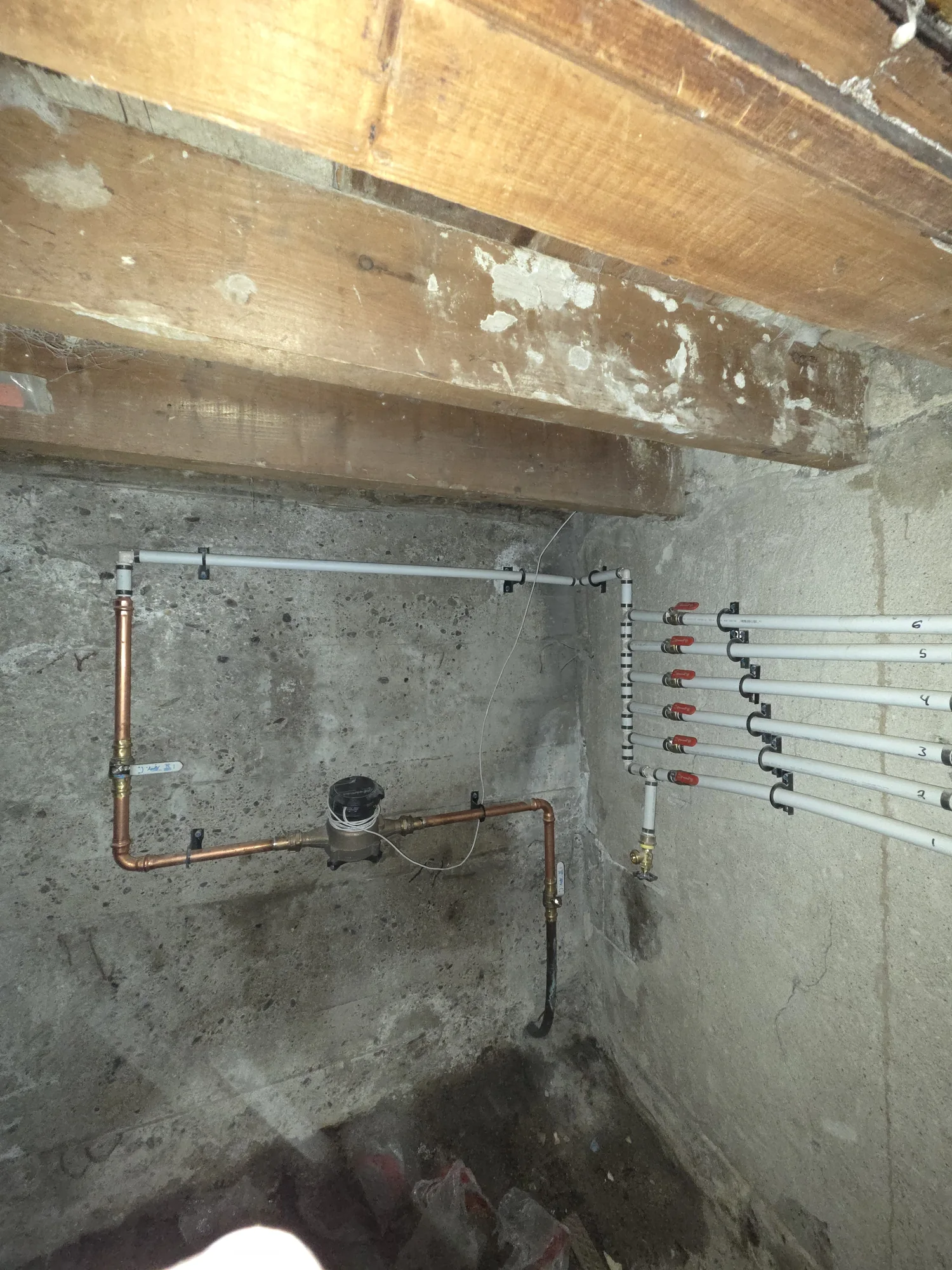Copper and PEX water distribution along a basement wall