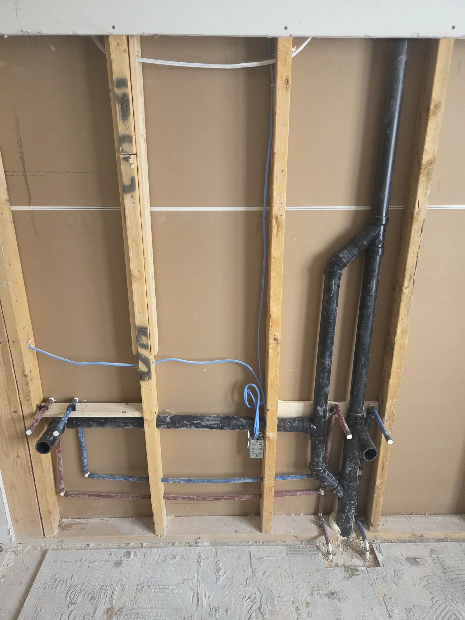 Black drain stack and branch piping in an open wall