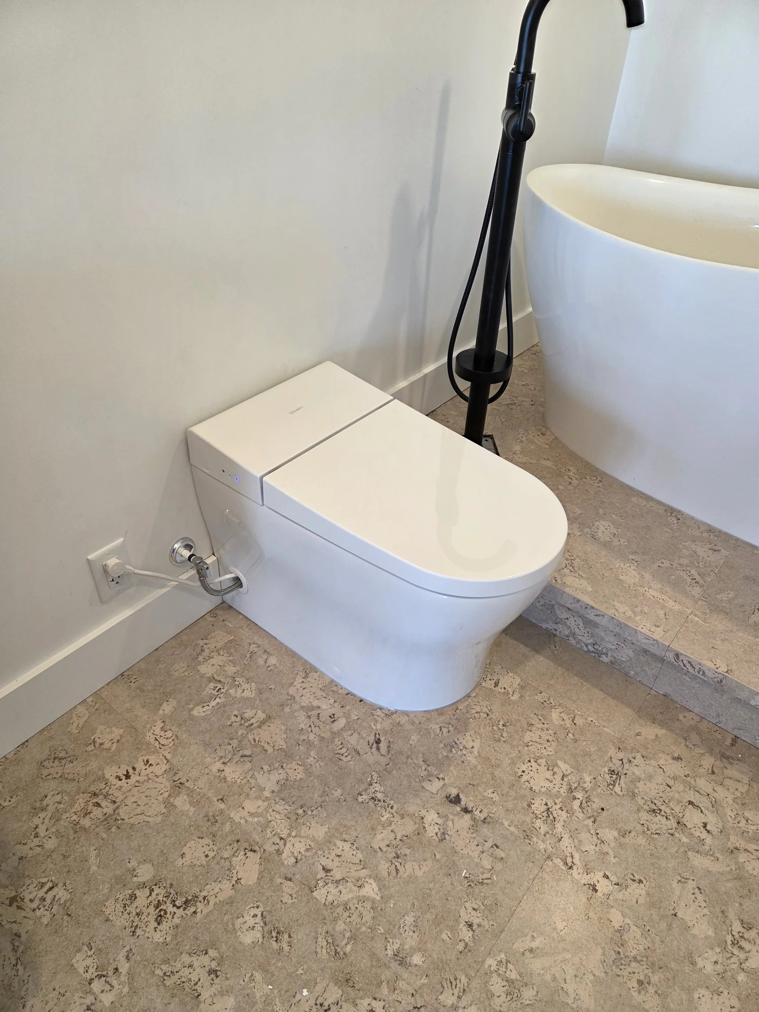 Wall-hung toilet beside a freestanding bathtub